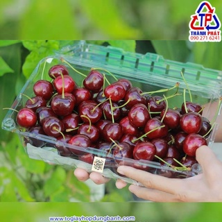 50 Hộp P1000A đựng 1kg nho cành, cà chua, dưa leo