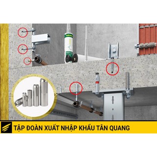 Tắc kê Nở Đạn (1 chiếc)