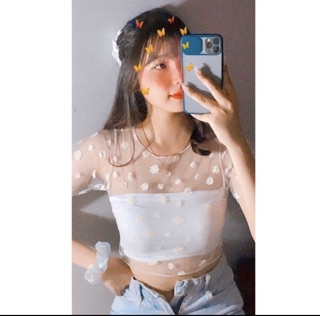 Set Áo Hoa cúc