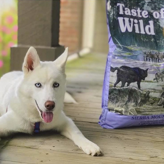 Thức Ăn Cho Chó Samoyed Taste Of The Wild Bao 2kg - Thức Ăn Cho Chó Vị Thịt Cừu, Trái Cây Rau Củ Quả