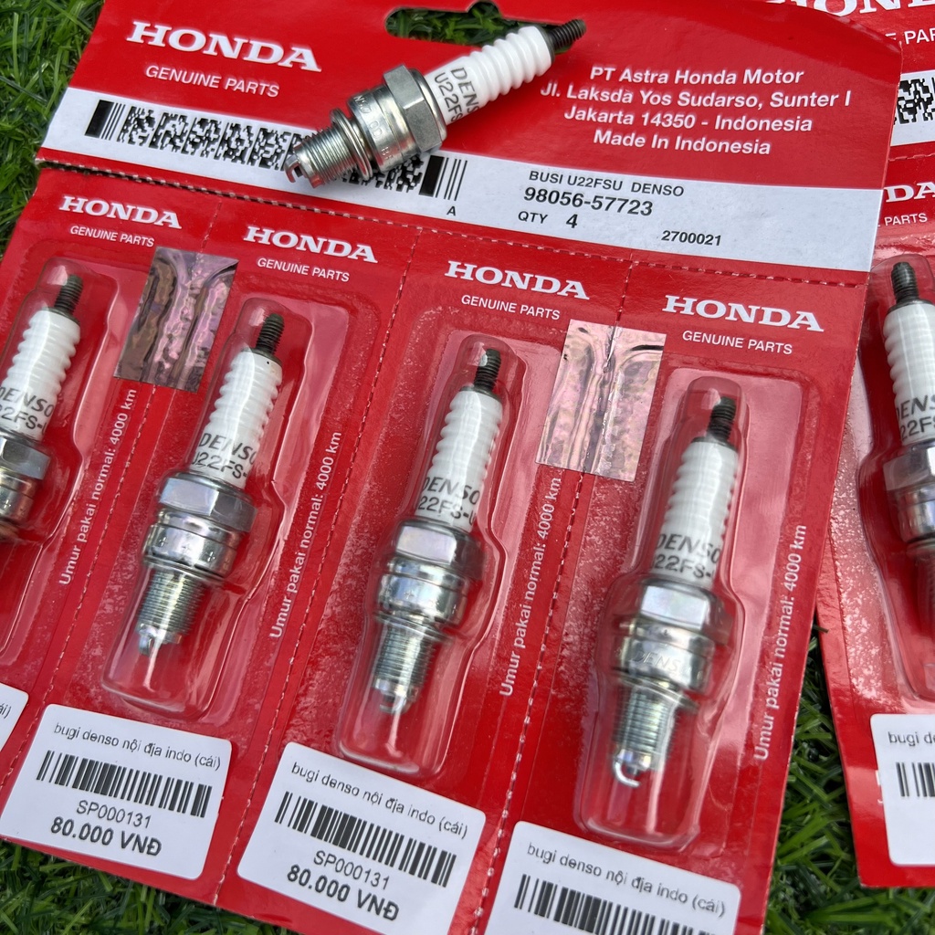 BUGI NỘI ĐỊA INDONESIA