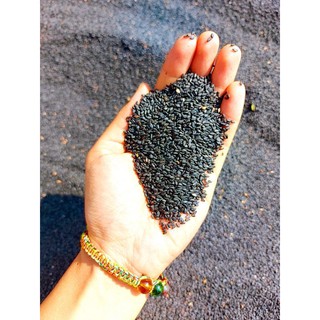Hạt Mè Đen 500gram.