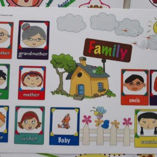 Flashcard 11 chủ đề
