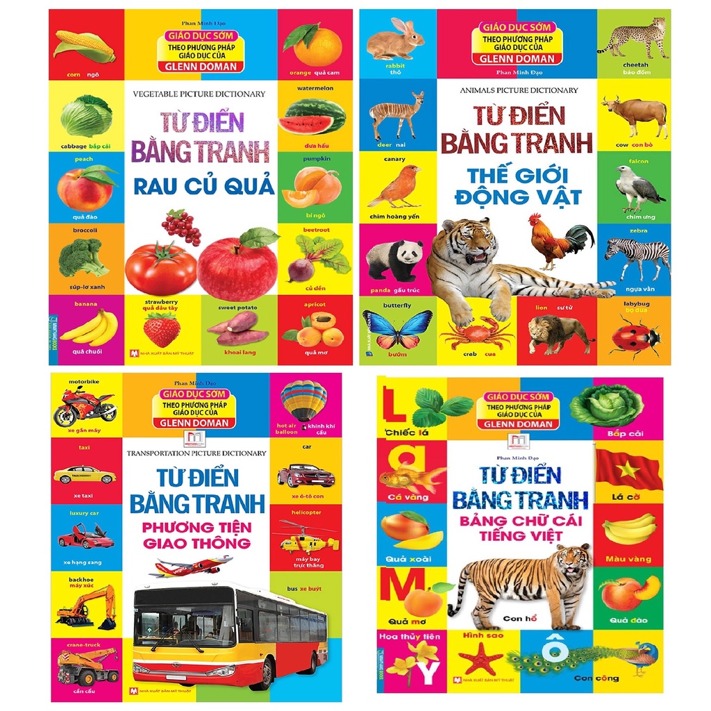 Sách - Combo Từ điển bằng tranh