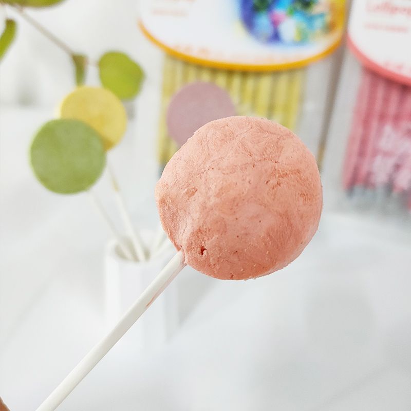 Bánh Thưởng Que Sấy Lollipop Cho Cún Mèo - 1.4g