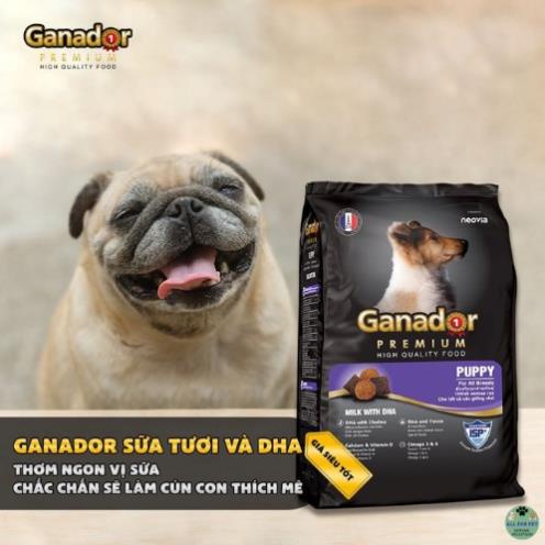 Thức ăn hạt cho chó con ganador puppy vị sữa và DHA gói 400g