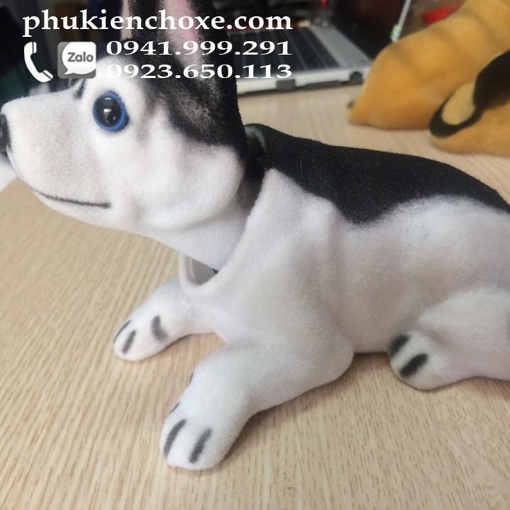 Chó lắc lư trên xe hơi - chó Husky có ảnh thật