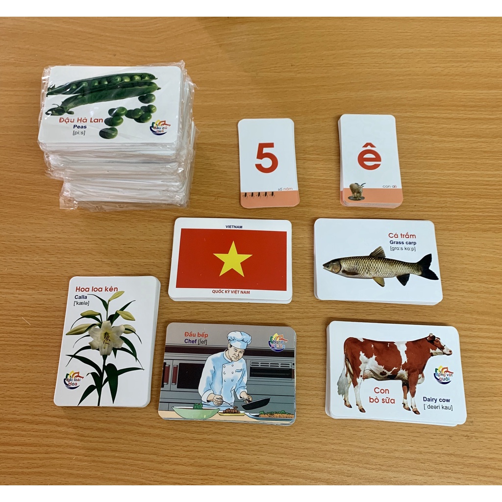 Bộ Thẻ Flashcard Thế giới xung quanh Song Ngữ Tiếng Anh 14 chủ đề theo Glenn Doman