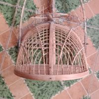 Lồng bẫy chào mào chích chòe