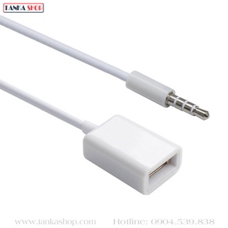 Cáp chuyển USB sang 3.5 mm