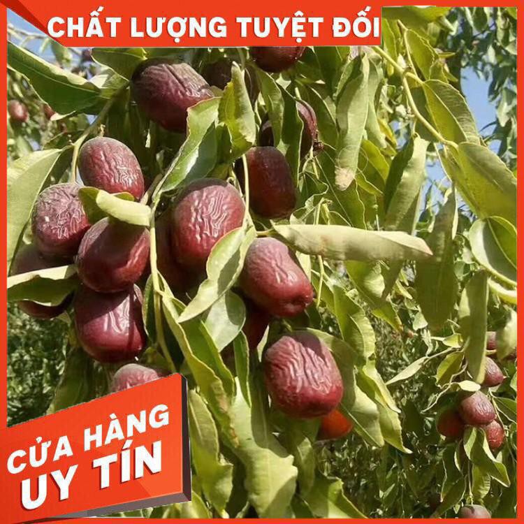 1KG TÁO ĐỎ TÂN CƯƠNG SIZE TO