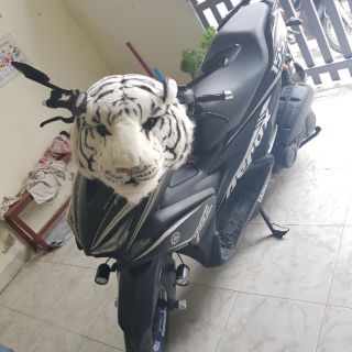 Balo đầu hổ trắng - vàng cao cấp