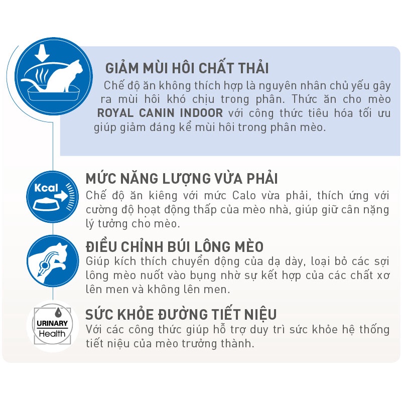 Thức ăn hạt Royal Canin Indoor 27 cho mèo trên 12 tháng, ít vận động - Thức ăn hạt cao cấp cho mèo - Zimpet