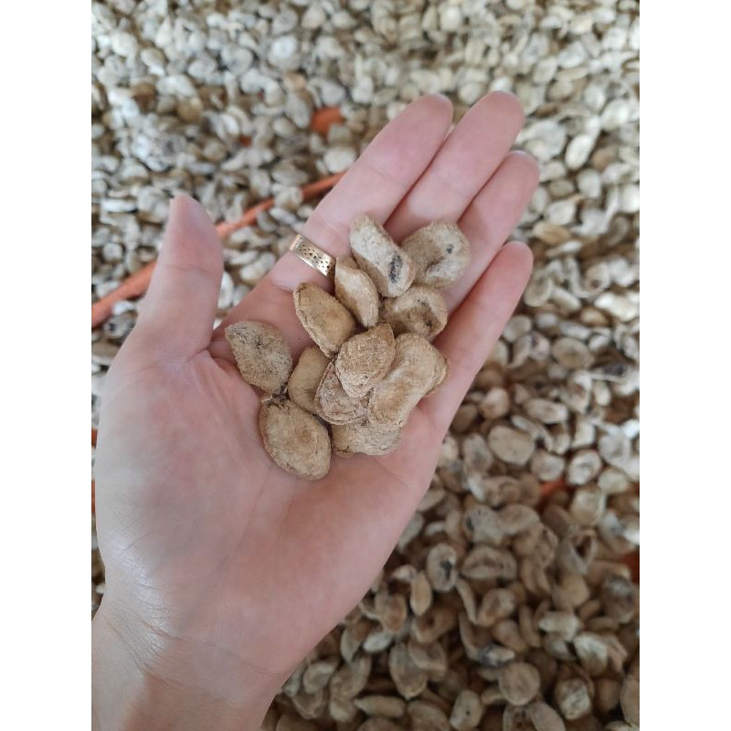 10 Hạt sành ( hạt sang-hạt dạ dày) chuẩn sịn | BigBuy360 - bigbuy360.vn