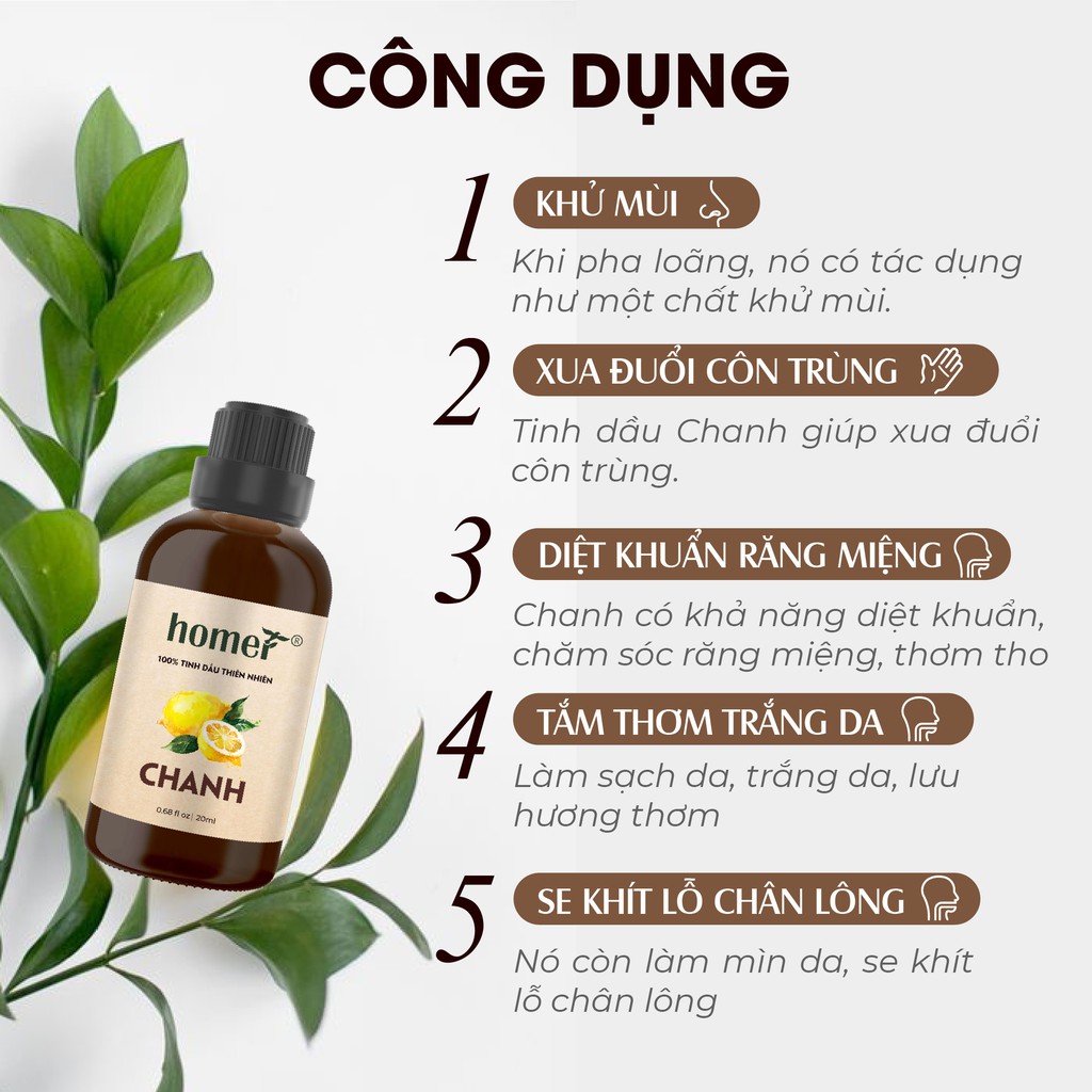 Tinh dầu Chanh Australia Homer 20ml/100ml - Lemon Essential Oil - đạt chuẩn chất lượng kiểm định