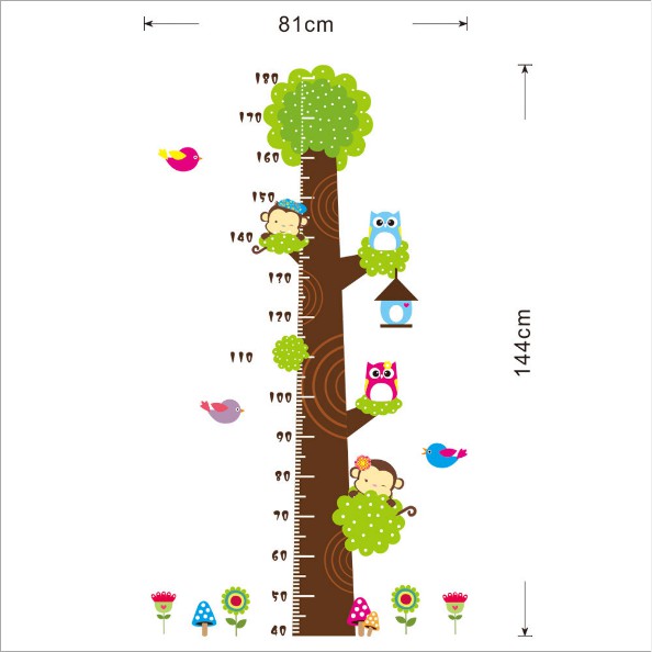 Decal trang trí Thước đo cây xanh cú mèo sắc màu