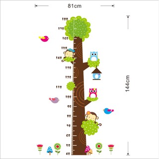 Decal thước đo cú mèo