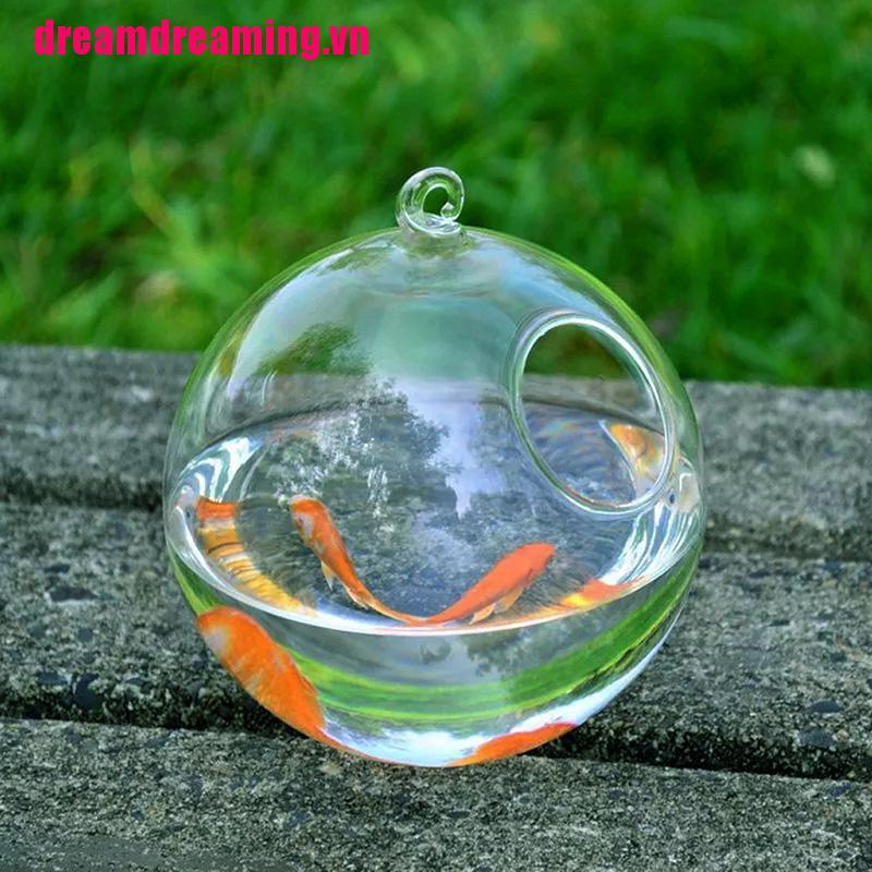 Bộ Bình Hoa Thủy Tinh Trang Trí Nội Thất Đẹp Mắt