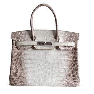 Rập mica túi Birkin H