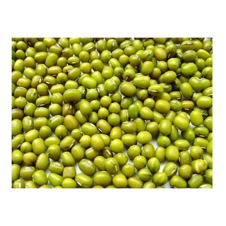 Hạt giống mầm đậu xanh - 1Kg_ Thế Giới Rau Mầm - thegioiraumam.com