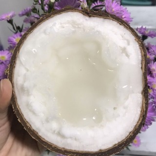 Dừa sáp đặc sản Trà Vinh Loại 1 dưới 1kg
