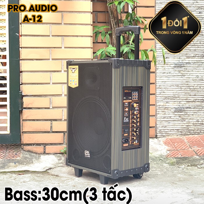 Loa Kéo Di Động - Loa Kéo Karaoke Cao Cấp Công Suất 250W-500W A-12/ SKT 300 Siêu Bass