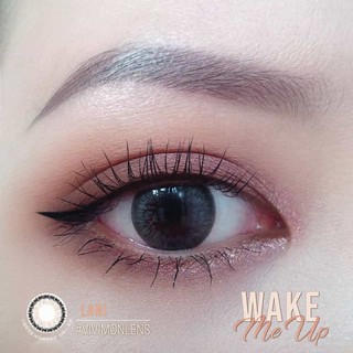 Kính áp tròng cận màu xám Hàn Quốc VIVIMOON LANI GRAY 14.2 mm