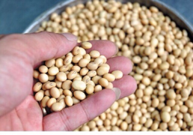 1kg Đậu tương( đậu nành)