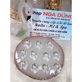 hoa góc ngắn mong