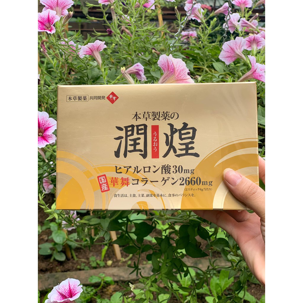 Collagen Sụn Vi Cá Mập Gold Premium Hanamai Nhật Bản 60 gói Anvishop | BigBuy360 - bigbuy360.vn