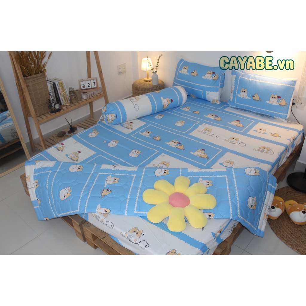 GA CHỐNG THẤM NƯỚC COTTON 5D 2 LỚP CAYABE MÈO TORORO XANH DƯƠNG