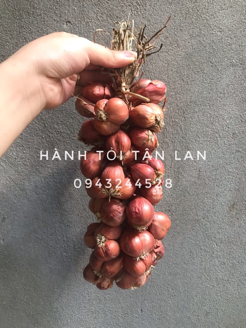 [Có sẵn] Hành khô - Tỏi khô - Kinh Môn Hải Dương | BigBuy360 - bigbuy360.vn