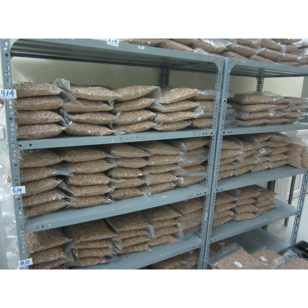 TRÂN CHÂU KHOAI LANG 2KG/TÚI