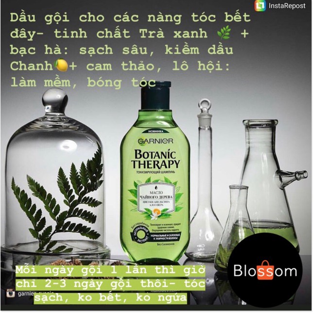 [Mã giảm giá mỹ phẩm chính hãng] Bộ dầu gội kiềm dầu Tea tree Botanic Therapy GARNIER