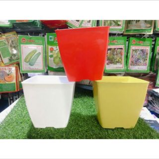 Chậu vuông 16cm giá siêu rẻ