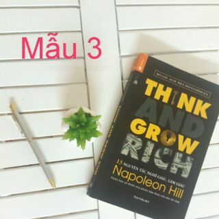 Hoa sen đá kèm chậu