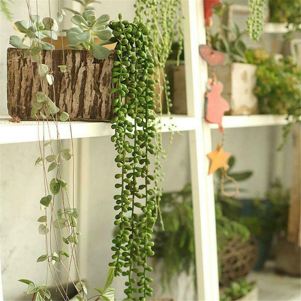 KRNY Dây Thường Xuân Giả Trang Trí Tiệc