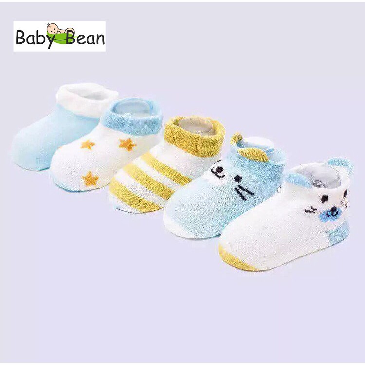 Set 5 Đôi Tất Thun Cotton Bé Sơ Sinh BabyBean (MÀU NGẪU NHIÊN)