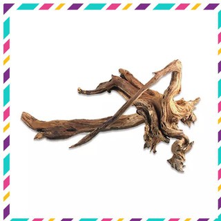 Lũa thô trang trí cho bể cá cảnh