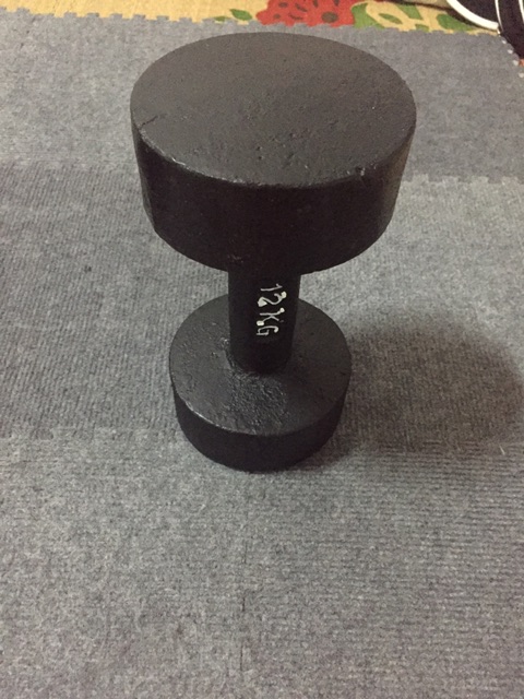 Bộ 1 tạ tay 12kg