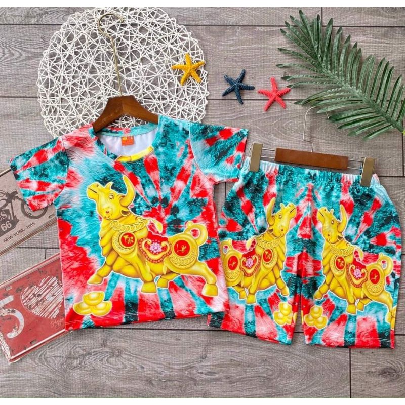 Bộ tay ngắn quần đùi thun 3d hàng shop cho bé size đại