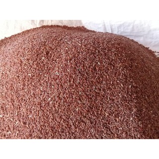 Gạo lứt đỏ Nàng Keo - 5kg (Phơi nắng)