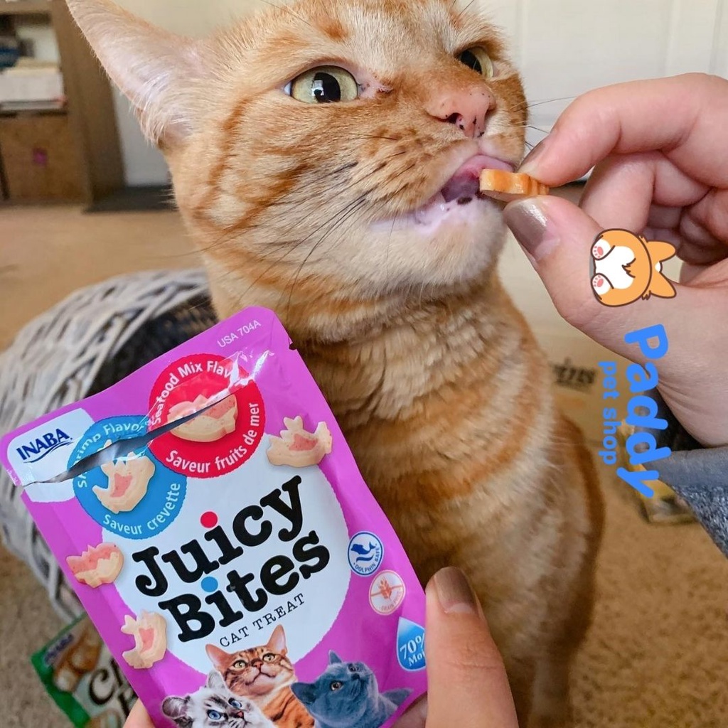 [Thùng 40 Túi] Viên Hải Sản Mềm Juicy Bites Snack Cho Mèo