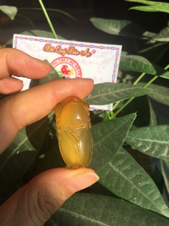 NGỌC THIỀN (Ve Sầu)