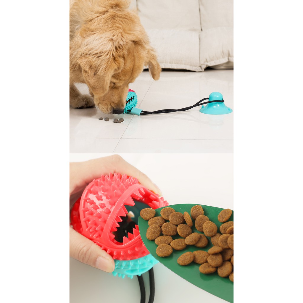 Đồ chơi cho chó mèo , đồ chơi kéo co giúp thú cưng giảm bớt sự tăng động