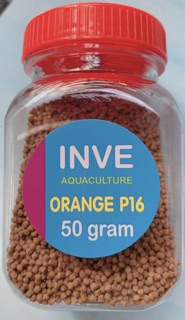 Cám thái Inve P16