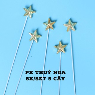 Set 5 Cây Tim Sao Sắt