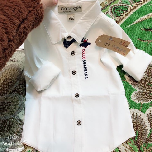 Sỉ áo trắng nơ sz nhỡ
