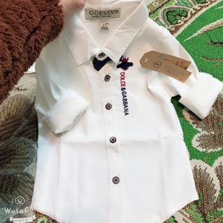 Sỉ áo trắng nơ sz nhỡ