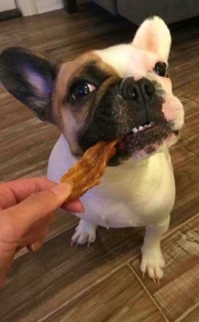 Ức gà sấy túi 500gr dành cho chó mèo